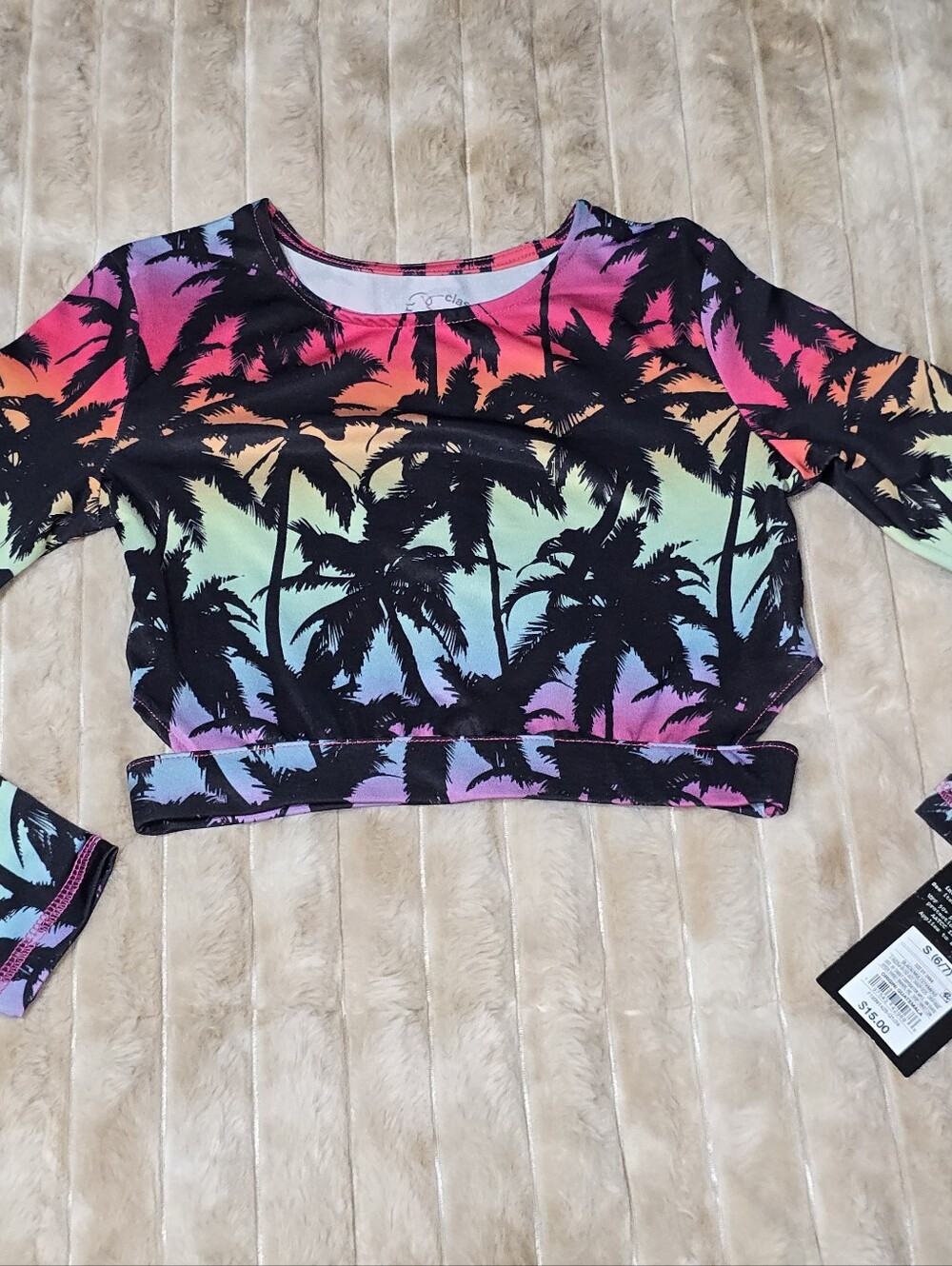 art class Rainbow Sunset Palm Crop Top - Black Silhouette